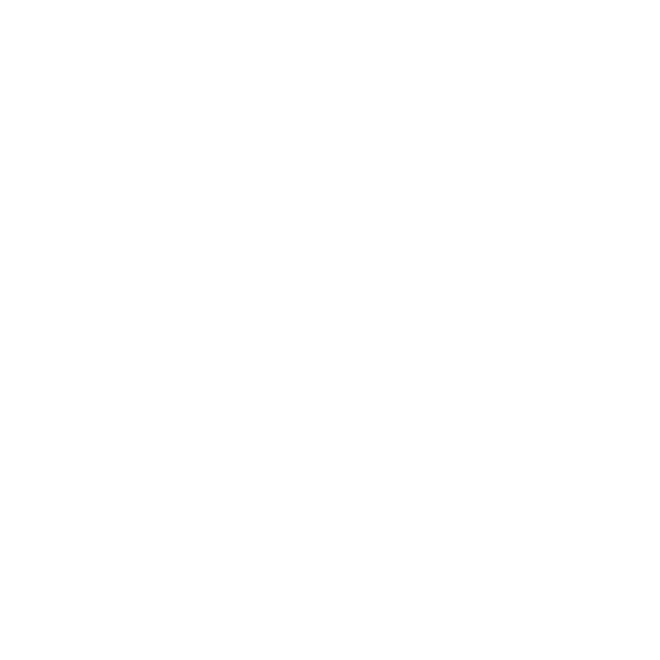 Round Websy Logo in White